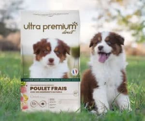 Ultra Premium Direct exclusive discount