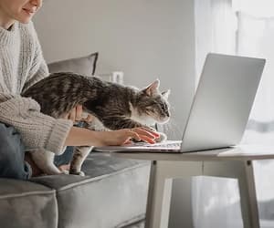 Zooplus exclusive discount