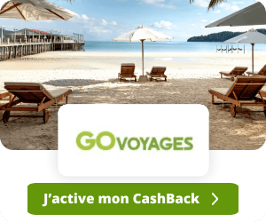 Go Voyages advertising 0