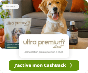 Ultra Premium Direct advertising 0