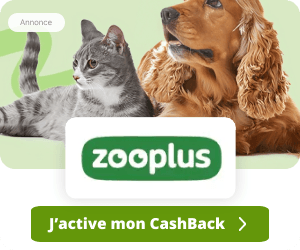 Zooplus advertising 0