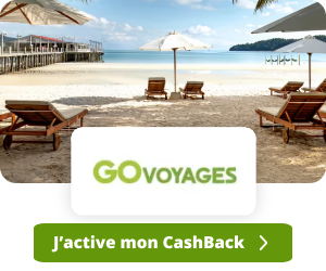 Go Voyages advertising 0