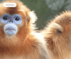 ZooParc de Beauval