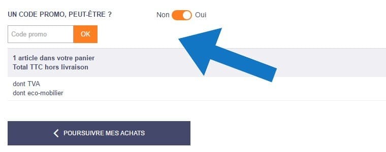 Où mettre un code promo Delamaison ?