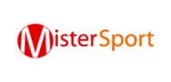 logo zzzMistersport