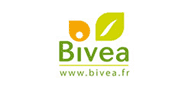 logo BIVEA