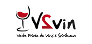 logo V2Vin