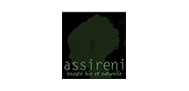 logo Assireni