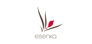 logo esenka