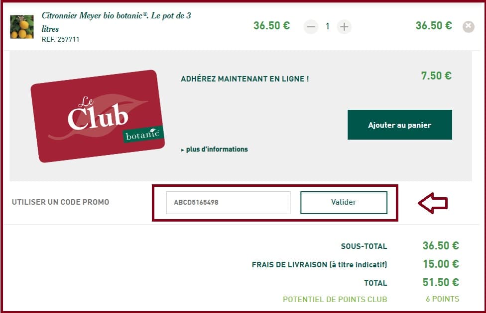 Où mettre mon code promo Botanic valide ?