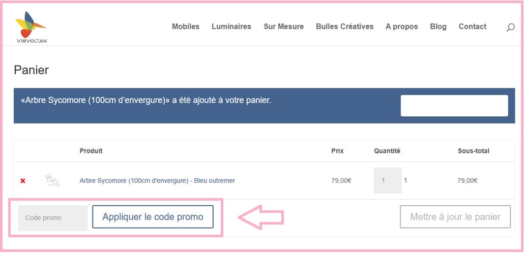 Où mettre mon code promo Virvoltan valide ?
