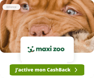 Maxi Zoo advertising 0