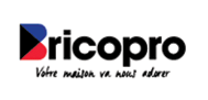 logo Bricopro
