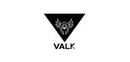logo Valk Gaming