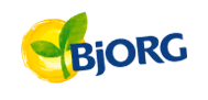 logo Bjorg