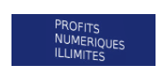 logo Profits Numériques