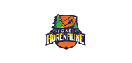 logo Forêt Adrenaline Rennes
