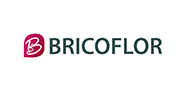 Bricoflor Logo