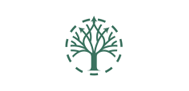 logo L'arbre du temps